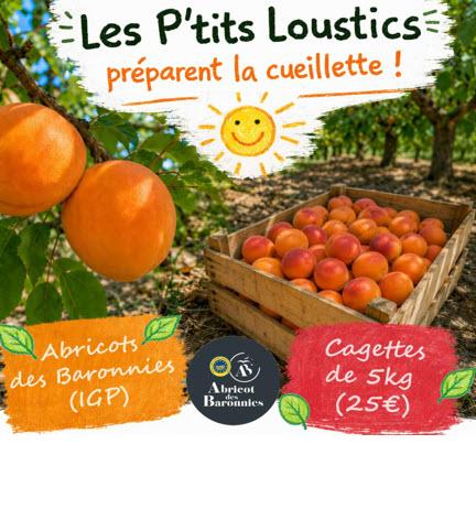 Cueillette des P'tits Loustics
